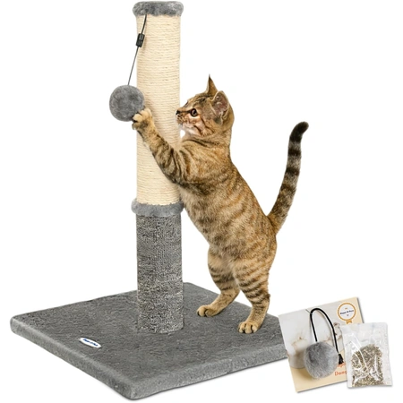 cat scratcher for indoor.webp