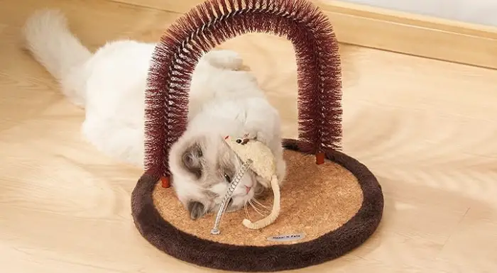 cat self groomer banner