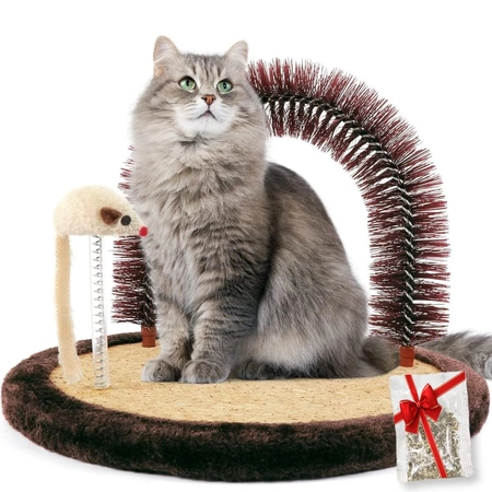 large cat self groomer.webp
